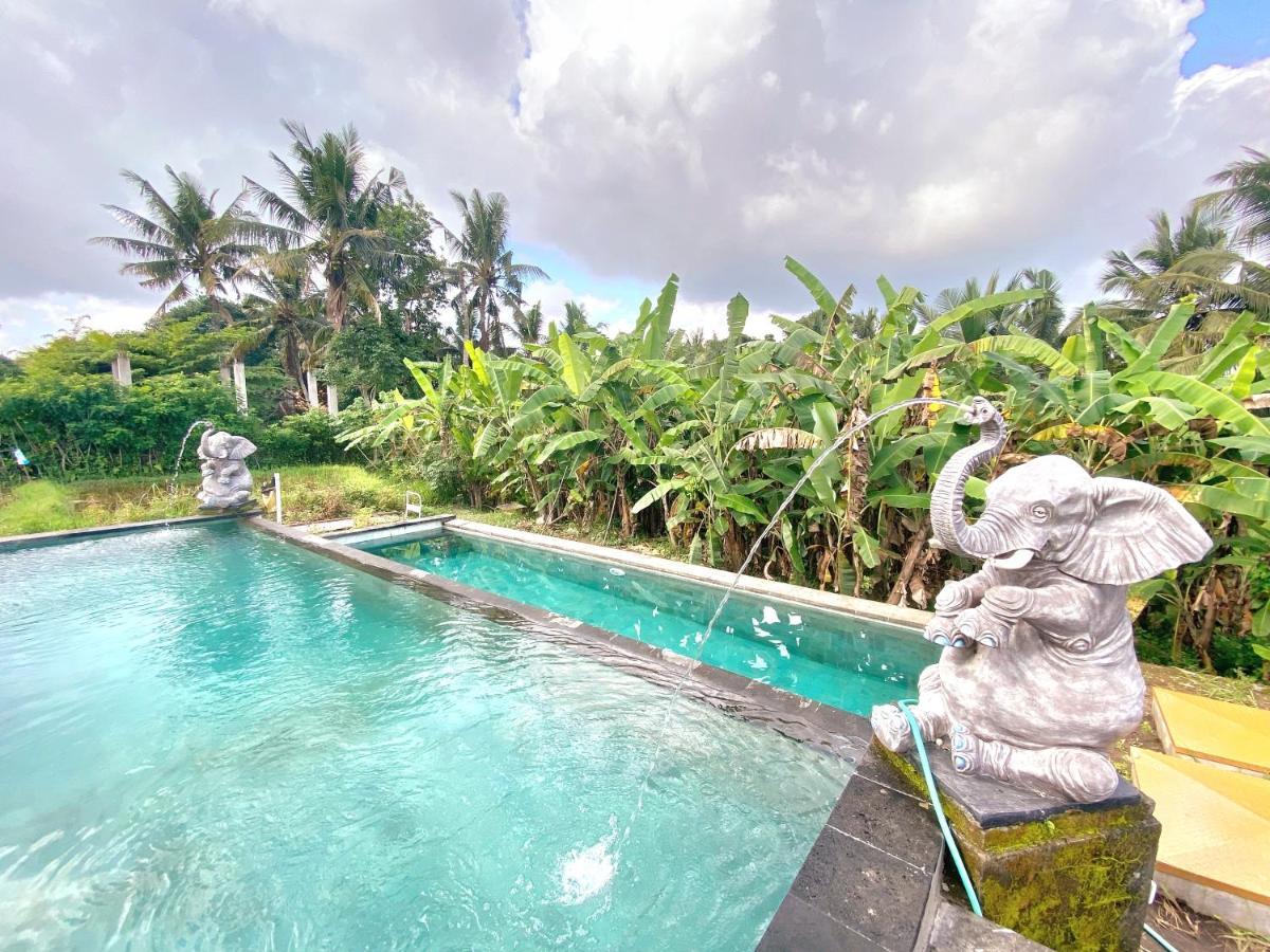 Ubud Rice Field House Extérieur photo