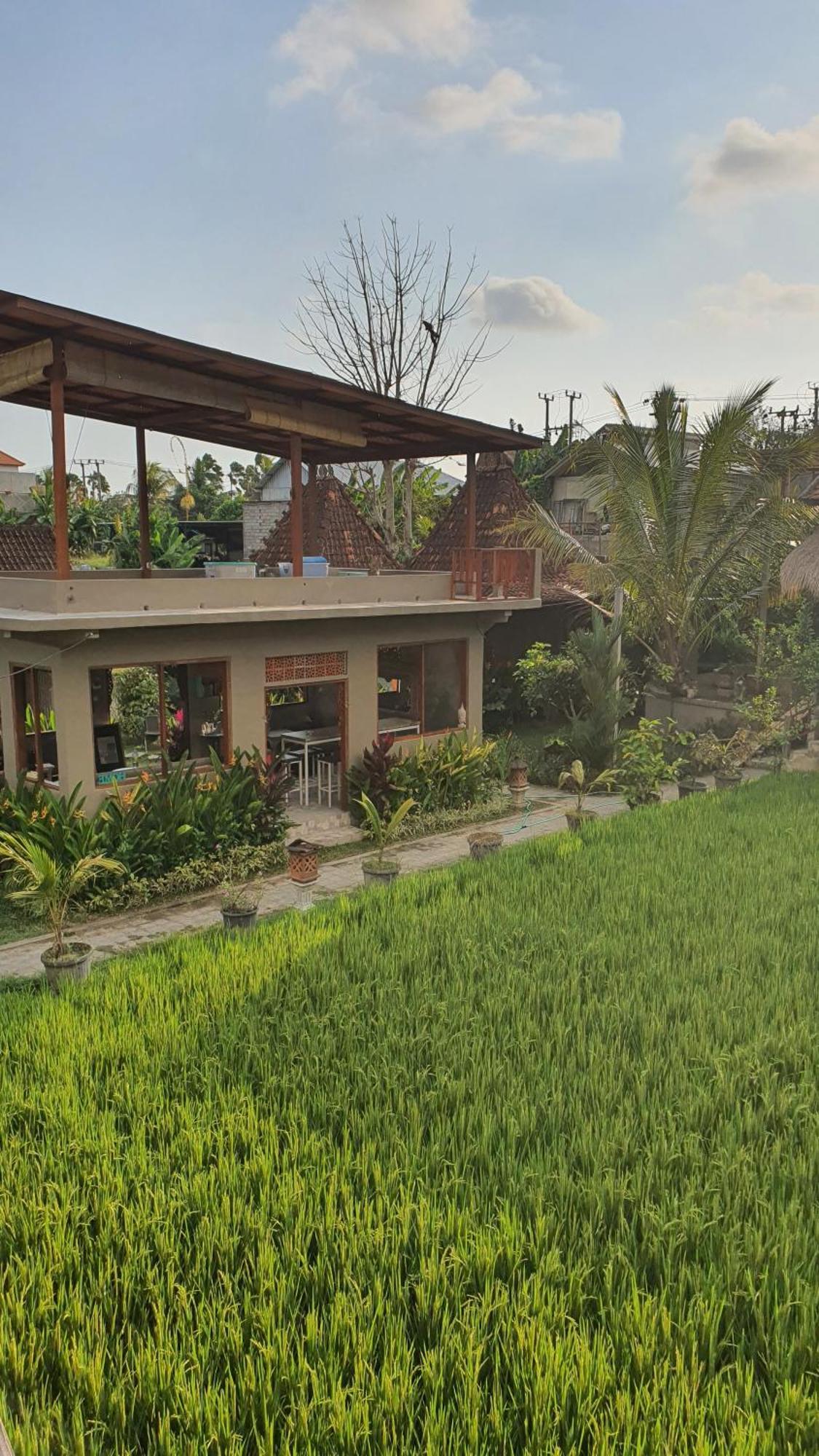 Ubud Rice Field House Extérieur photo