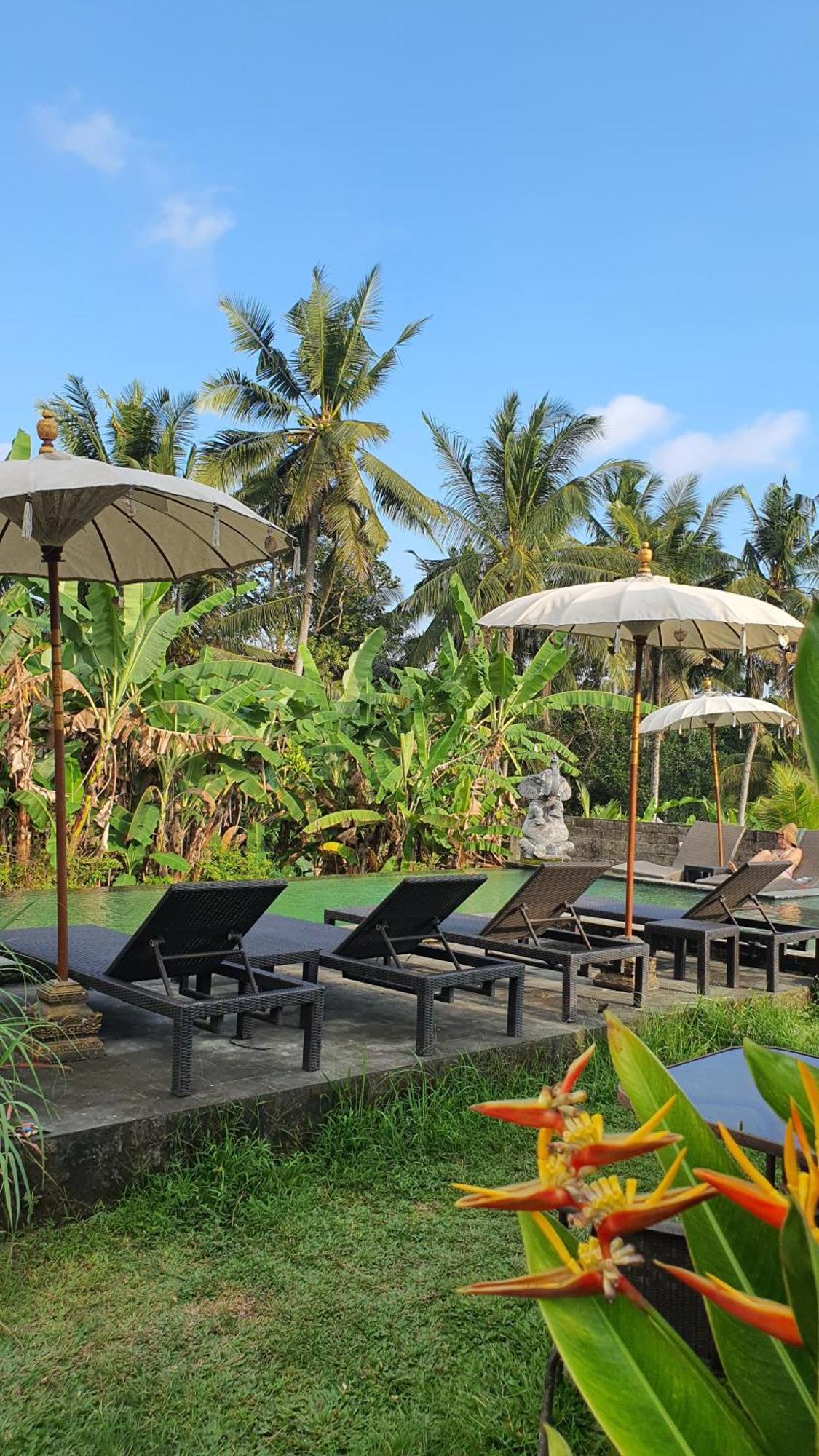 Ubud Rice Field House Extérieur photo